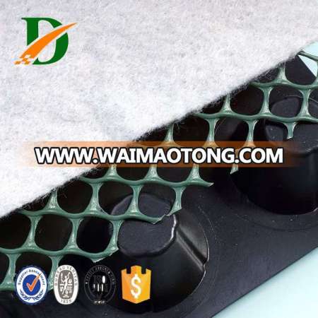 Shangdong drainage board with holes with holes/drainage cell roof garden